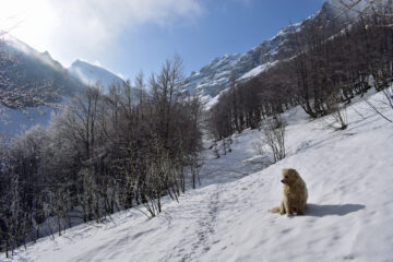 Uscendo dalla faggeta sguardo sulla parte superiore del vallone