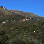 Monte Borriga e monte Fasce da via del Chiapparo