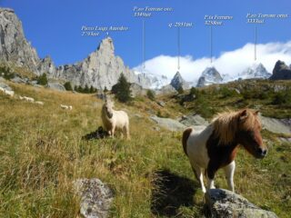 Bellissima e selvaggia la Val Torrone.