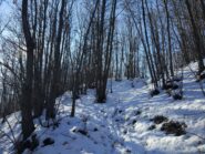 Salendo verso rocca Boudet