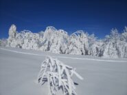 Tutto candidamente ghiacciato