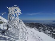 Giornata meravigliosa