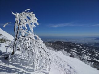 Giornata meravigliosa