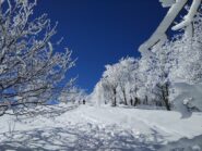 Si sale in un ambiente incantevole