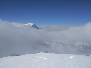 Il Frioland fa cucù