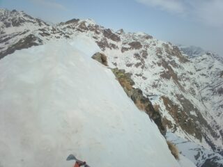 Tratti più affilati...