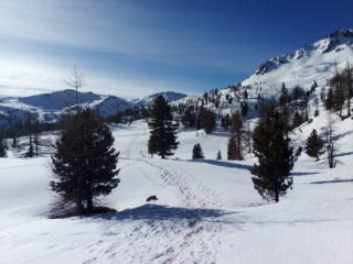 Sul sentiero alto verso il col Saurel (che si vede in centro sullo sfondo).