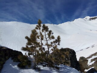 Nei pressi del col Gimont.