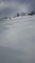 Exif_JPEG_420