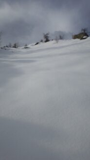 Exif_JPEG_420