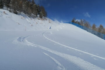 fantastica discesa con queste condizioni