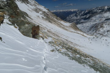 ultimo tratto prima del colle salito a piedi