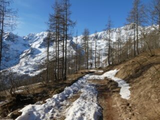 Strada con sci in spalla