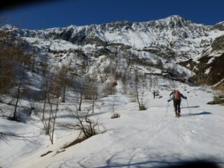 Dalla piana sotto Montoso