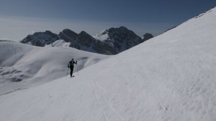 quasi in cima