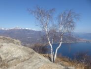In vetta.