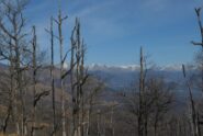 Dal Soglio alla Vaccarezza, quasi senza neve
