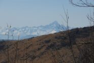 Appare il Monviso
