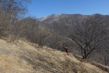 Ravanamento su prati