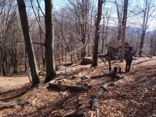 In discesa, arrivando all'Alpe Piano Scarognino.