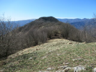Il Monte Frascinello dal Poggio Alto (m.1098)
