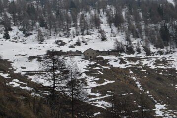 Ultimo tratto per raggiungere l’alpe di Viou, ormai fuori dal bosco