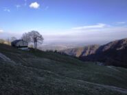 Salvine.