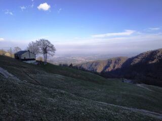 Salvine.