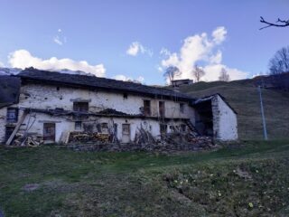 Salvine.
