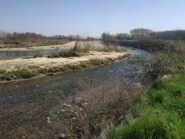 Torrente Elvo dopo la confluenza del Canale.