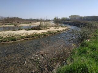 Torrente Elvo dopo la confluenza del Canale.