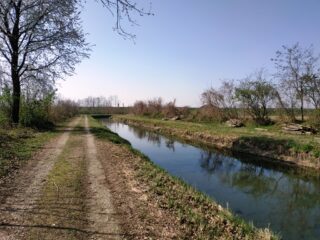 In zona Santhià.