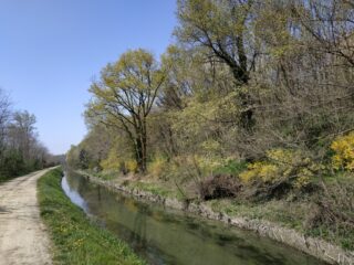 Intorno a Carisio.