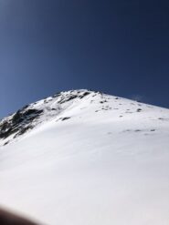 Vetta