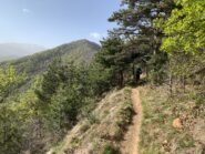 Sentiero di collegamento