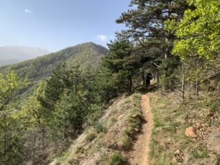 Sentiero di collegamento