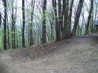 Arrivo nelle aree disboscate.