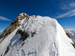 Monte Stella dal Colletto Coolidge