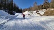 iniziando a risalire la pista forestale verso il Bosco delle Navette