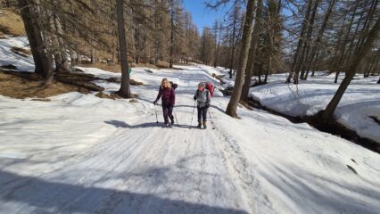 salendo lungo la pista forestale nel Bosco delle Navette