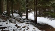 saliti sotto una bella nevicata