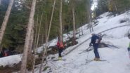 Lasciamo la strada sotto le Piane e ci addentriamo nel fitto bosco