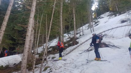 Lasciamo la strada sotto le Piane e ci addentriamo nel fitto bosco