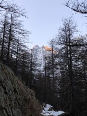 Il canalone di Lourousa dal sentiero per il rifugio Morelli