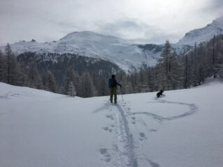 Prima di scendere nel bosco