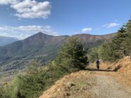 Strada per il punto panoramico