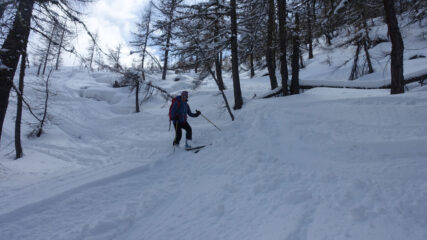 Discesa nel bosco