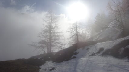 Finalmente il sole inizia a 