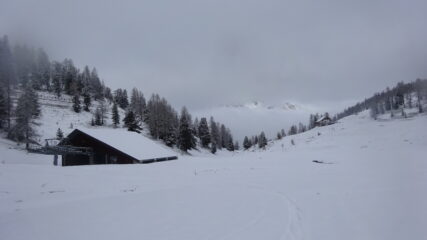 In salita appena superata Capanna Gimont