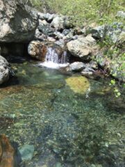 Ruscello